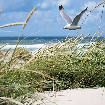 In Belgium With Stunning Sea View 아파트